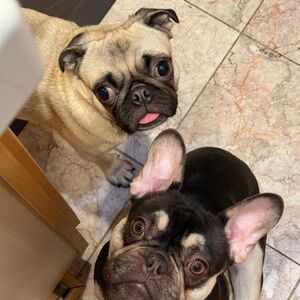 Meet your Posher, Slady